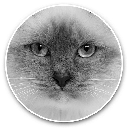 Vinyl stickers 5cm - stickers, 7.5cm