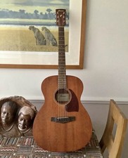 Acoustic Guitar new Ibanez