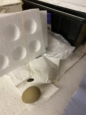 MAGNETIC  Gender/ fertility