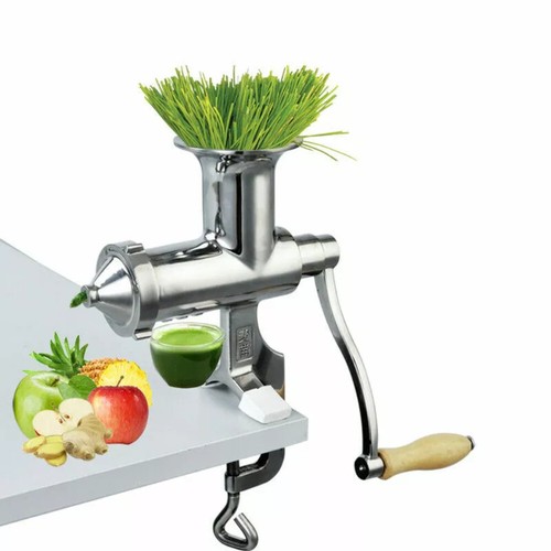 Wheat grass vegetable - wheat,