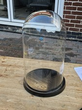  Large Glass Dome with Wood Base No.3