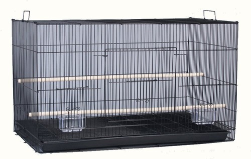 Aviary budgie canary - aviary,