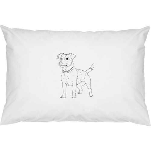 Jack russell terrier - 2,