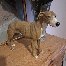 Leonardo resin Greyhound