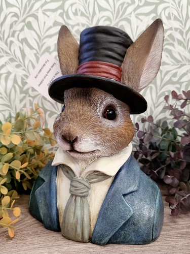 Smart dress hare rabbit - smart,
