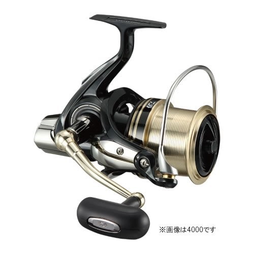 Daiwa spinning reel - daiwa, 17