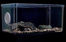 Tarantula Tank,Vivarium,Cage Enclosure Insect Cage,Invertebrate Tank