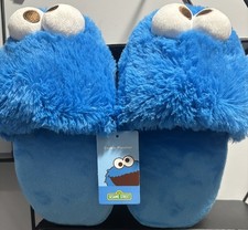 GROUND UP Sesame Street Cookie