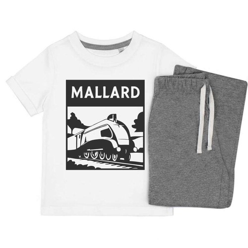 Mallard steam train kids - steam, train'