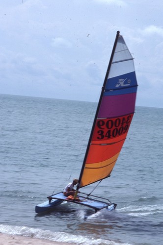 1981 hobie cat - cat, catamaran