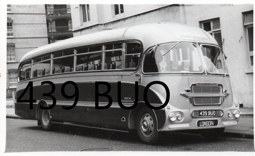 Kingdom tiverton 439buo - kingdom,,