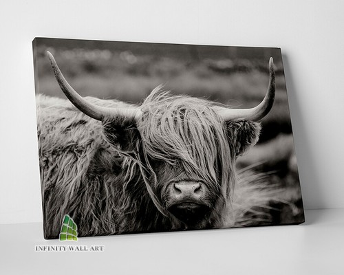 Highland cow black canvas art - cow,
