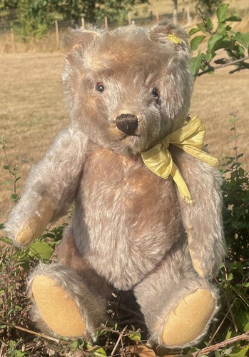 Adorable old antique steiff - adorable,