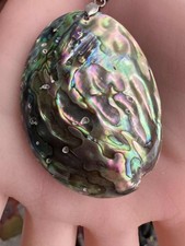 Mother of Pearl/Abalone Shell