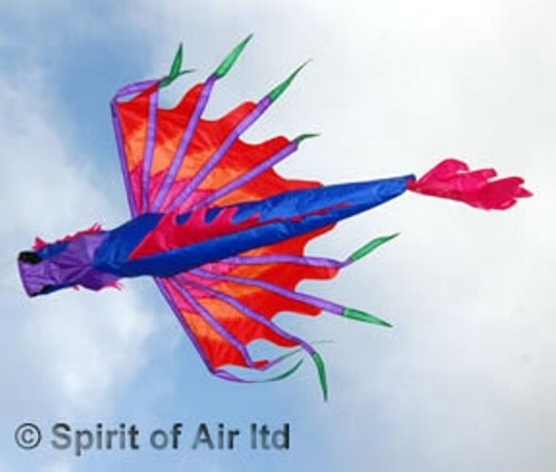 Dragon windsock - dragon,