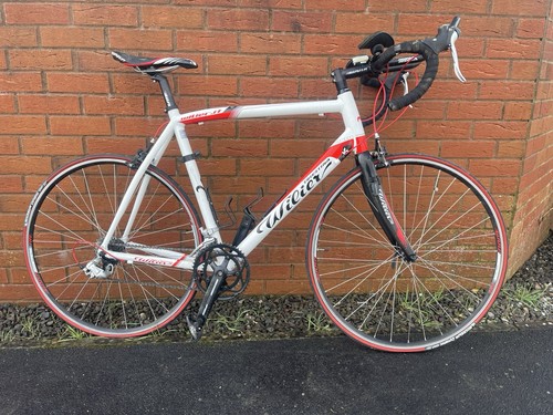 Willier triestina strada steel - strada,