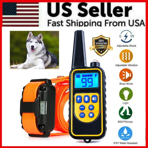 2700 remote dog - 2700,