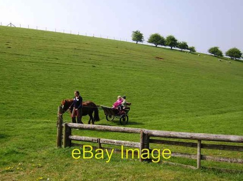 Photo 6x4 pony - photo,
