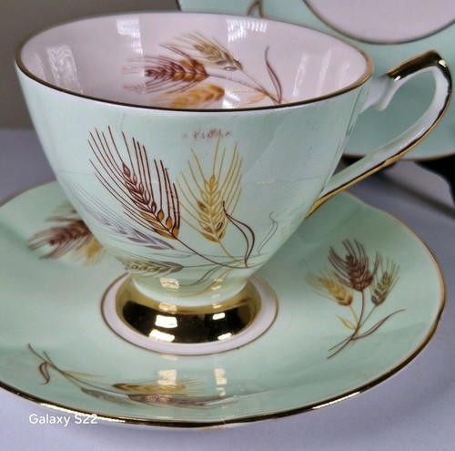 Elizabethan fine bone china - bone,