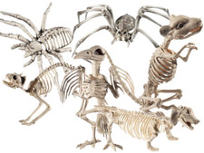 Halloween human animal - halloween,