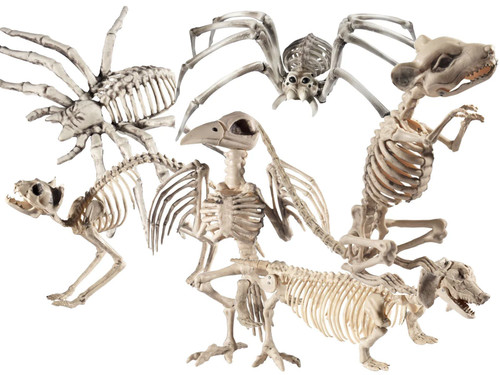 Halloween human animal - halloween,