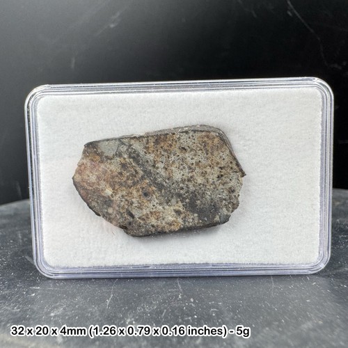 Nwa 869 meteorite slice - 869,