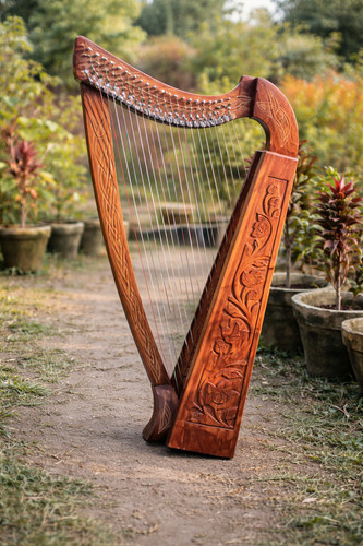 Strings harp irish folk - strings,