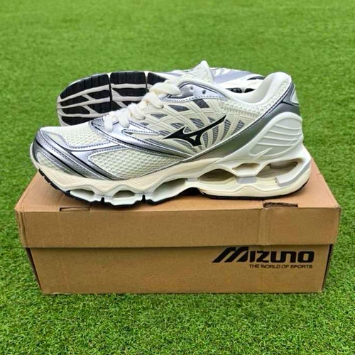 Mizuno wave prophecy - wave,