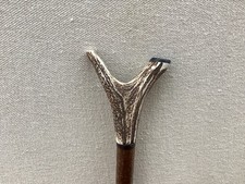 Red Deer Antler Walking