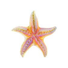 Color Crystal Starfish