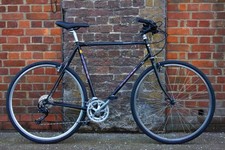 Dawes Galaxy Bike (Extra