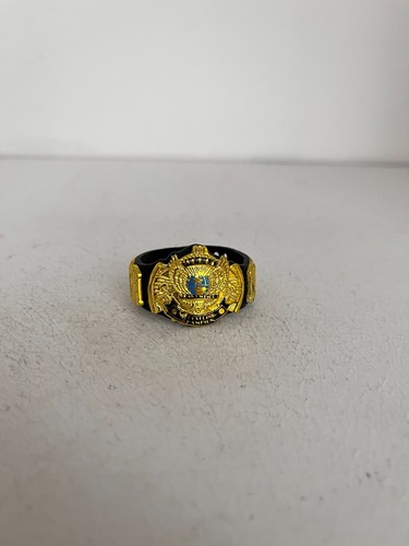 Wwe wwf classic winged - wwf,