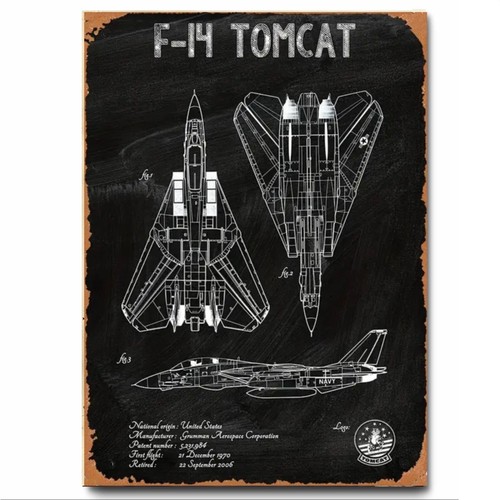 Tomcat american fighter - f-14,