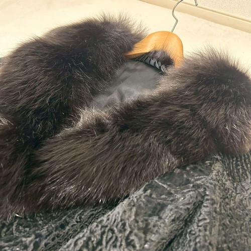 Karakul lamb astrakhan fox - lamb,