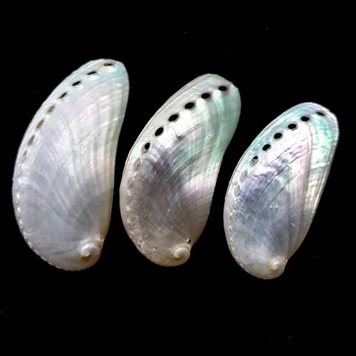 Pearl slippers pearlised - slippers,