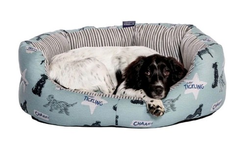 Battersea playful dogs - playful, deluxe