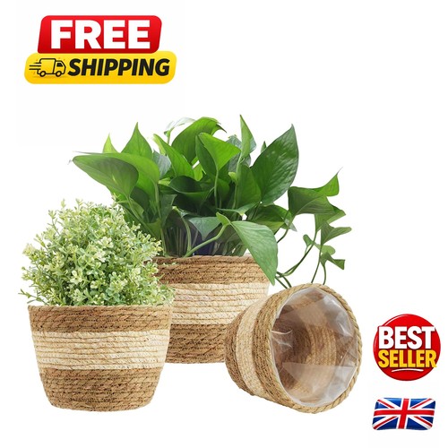 Durable beige woven seagrass - durable,
