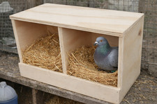 Wooden Pigeon Nesting Boxes