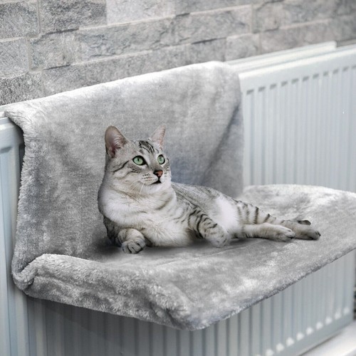 Cat kitten hanging - hanging, radiator