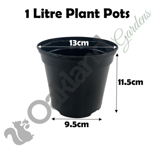 Black plastic plant pots - black, 1