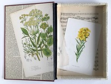 Hollow Book, Key Safe