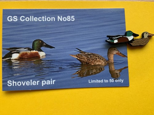 None rspb badges collection - none,