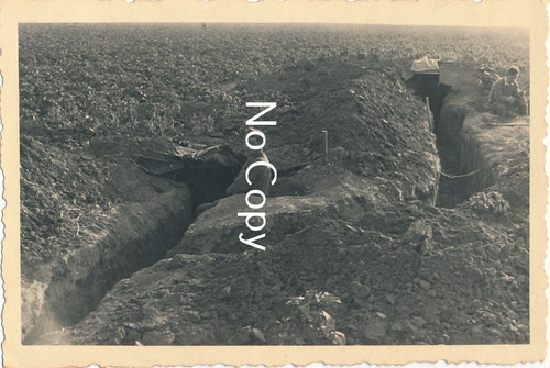 Photo ww2 military barbarossa - photo,