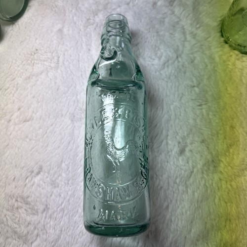 Antique hoyle bishop codd - &,