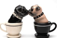 Tea Cup Pugs Magnetic Ceremic
