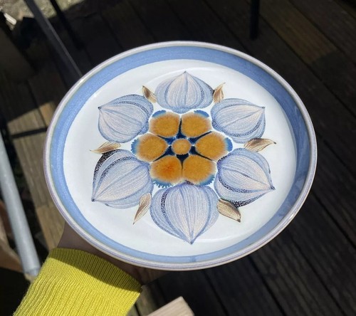 Rare langley denby - rare, plate