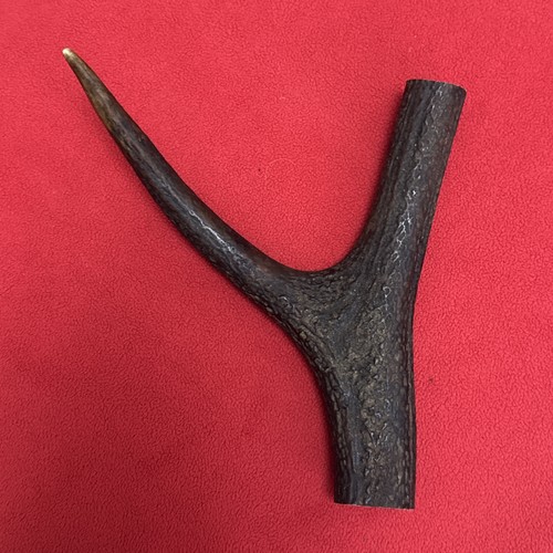 One piece deer antler y - of,