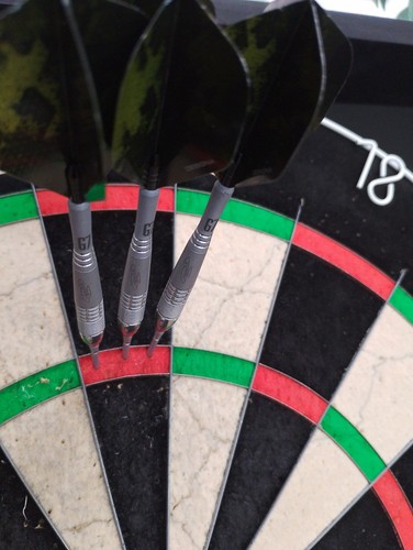 Phil taylor tungsten power - taylor,