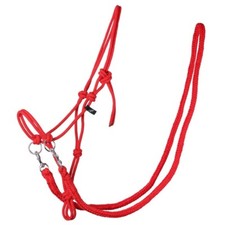 QHP Rope Halter With Rein