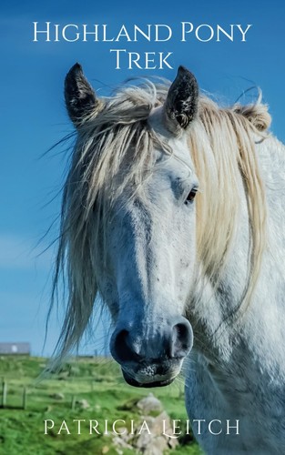 Highland pony trek leitch - pony, by